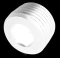 3/4 MPT PIPE PLUG-INTERNAL